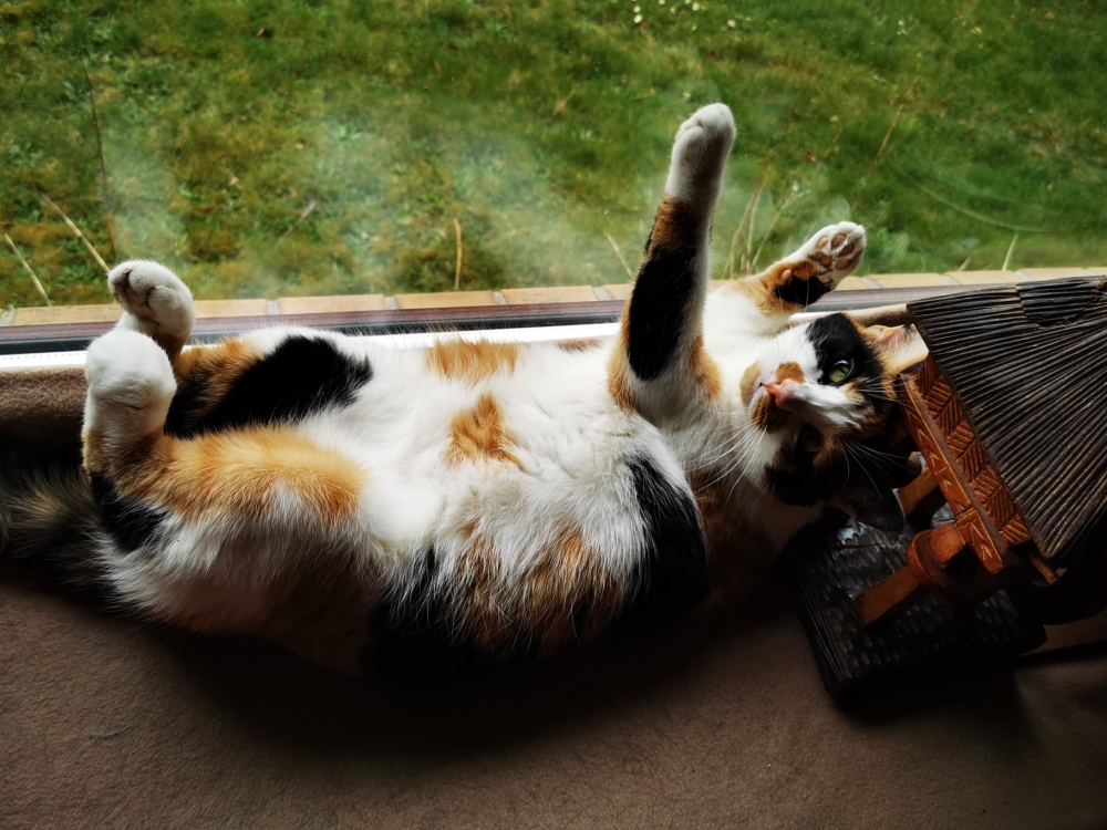 Sophie