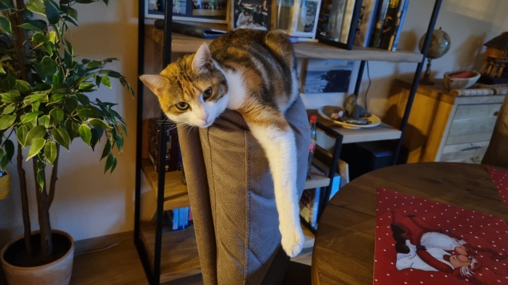 Leila