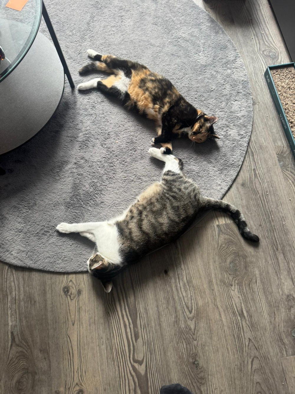 Salt und Pepper