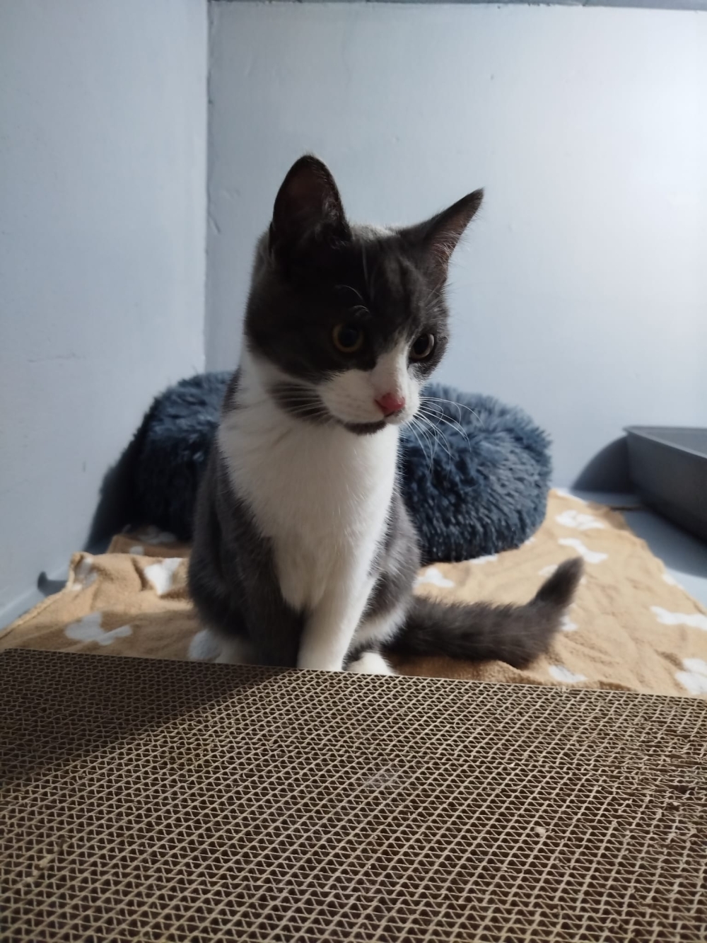 WhatsApp Image 2025-11-30 at 21.49.24.jpeg