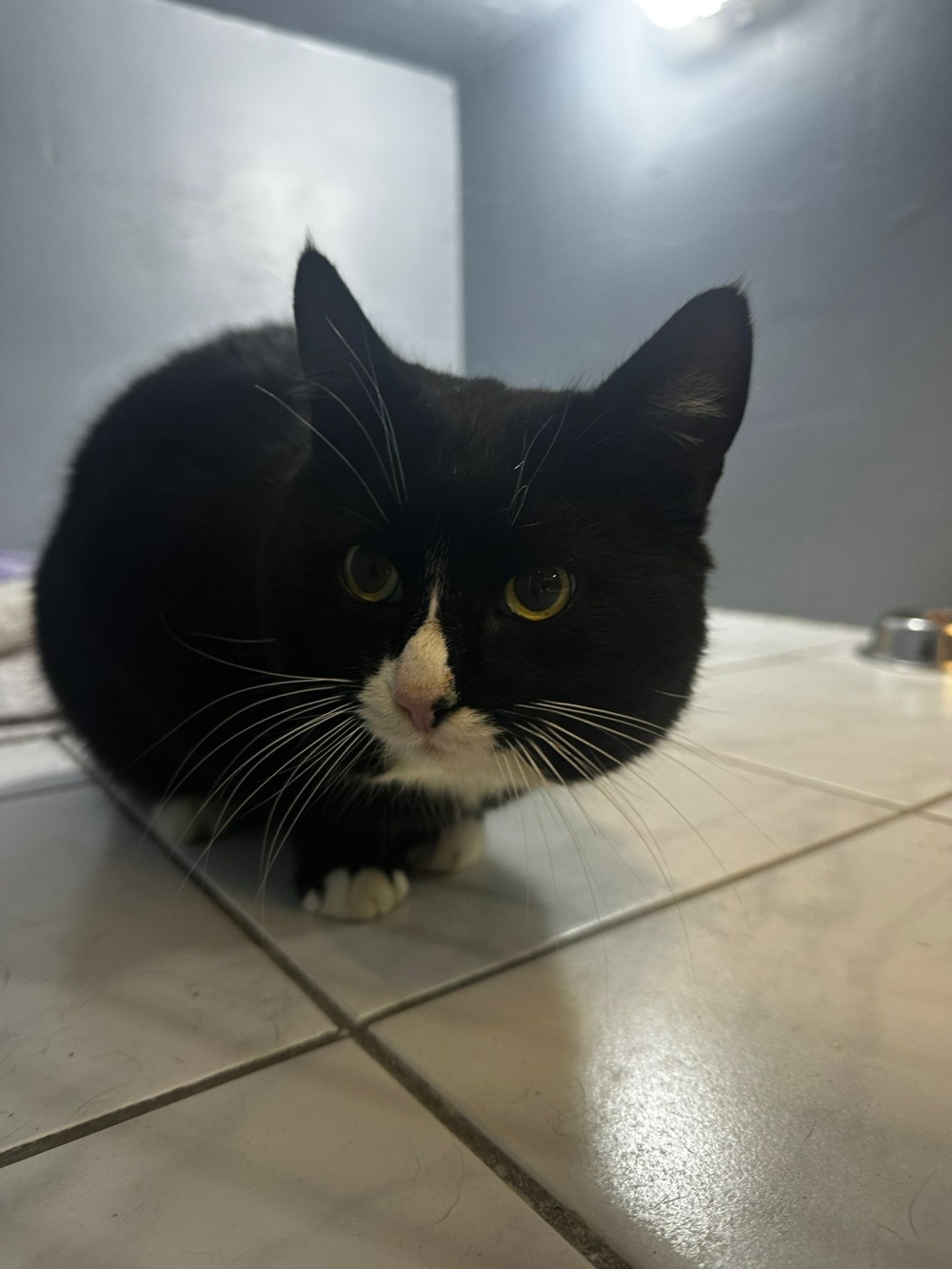 WhatsApp Image 2025-12-12 at 13.25.09.jpeg