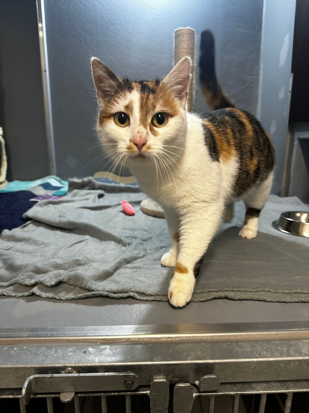 WhatsApp Image 2025-12-19 at 10.05.14.jpeg