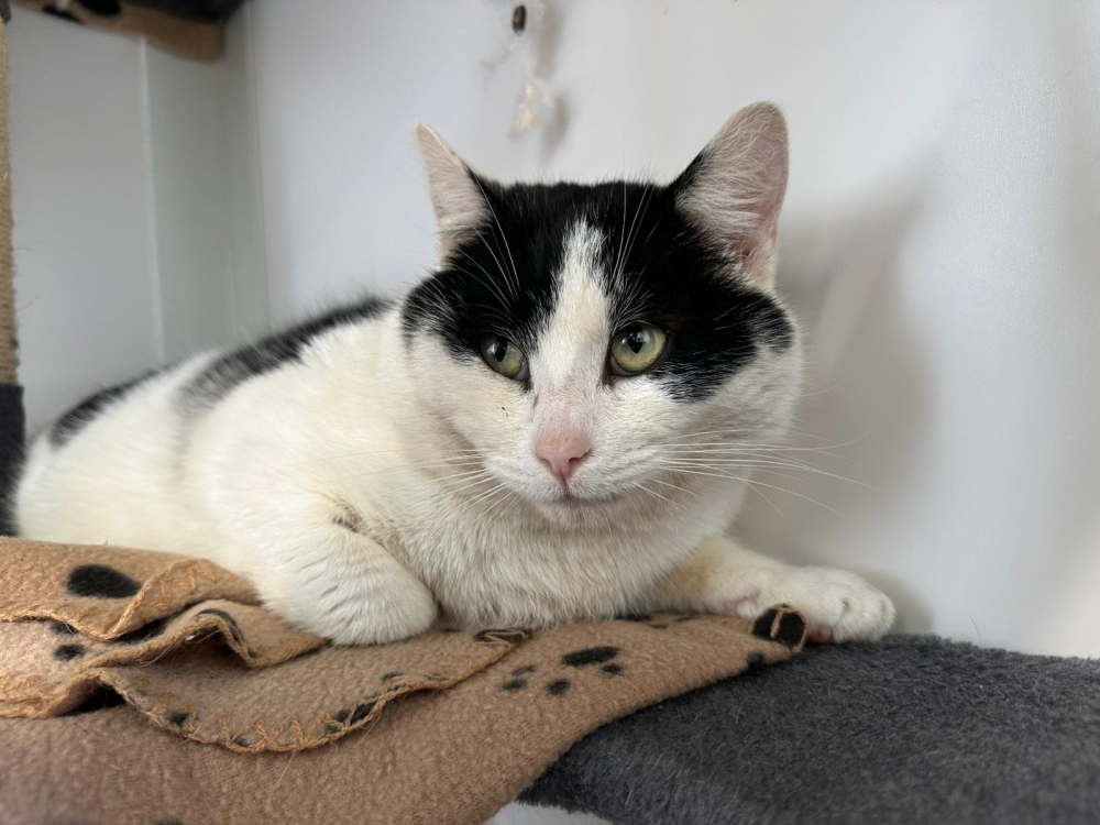 WhatsApp Image 2026-03-25 at 15.12.46 (2).jpeg