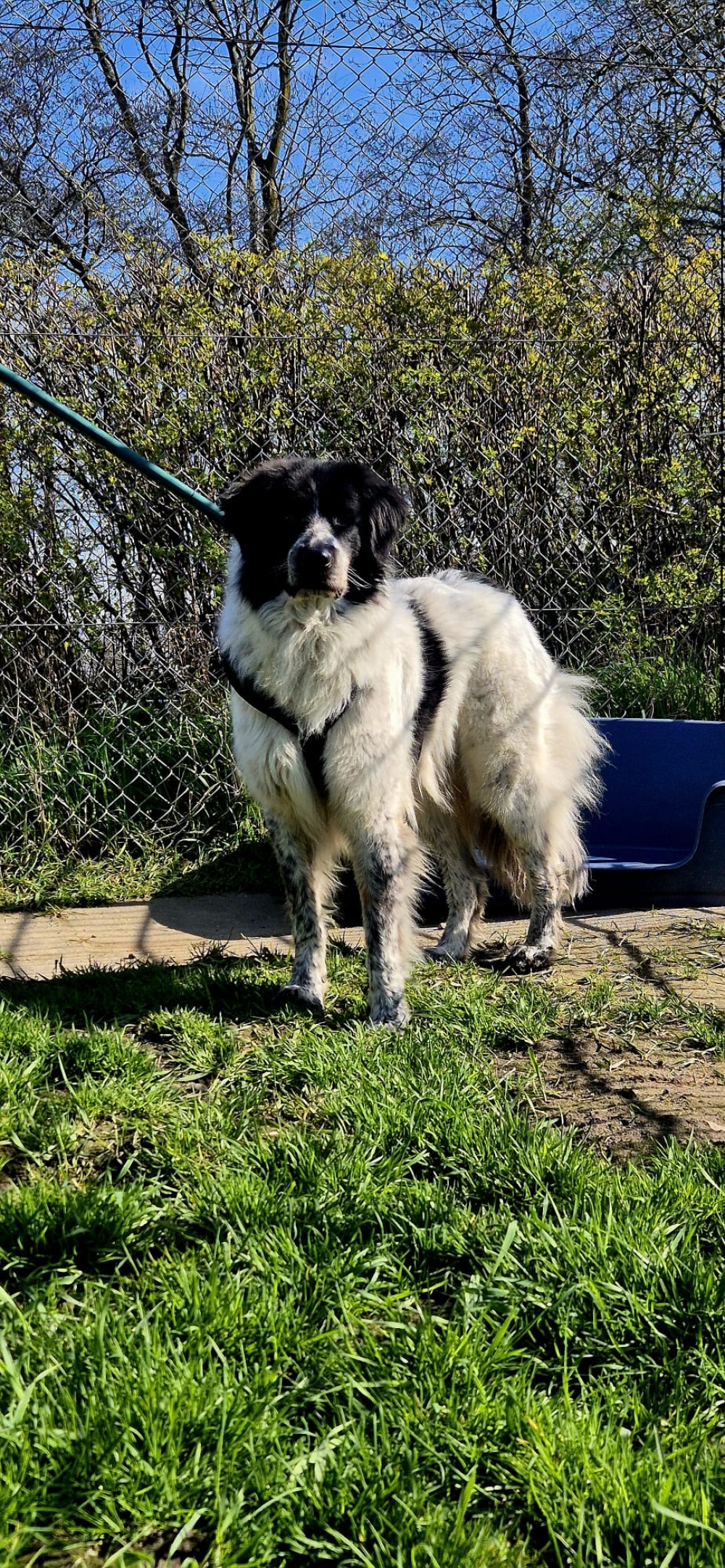 WhatsApp Image 2026-04-20 at 17.57.21.jpeg