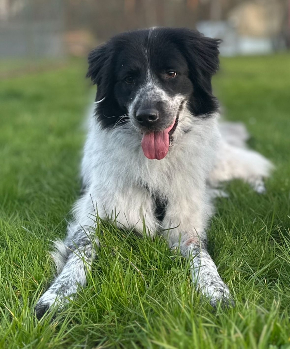 WhatsApp Image 2026-04-27 at 13.16.44.jpeg