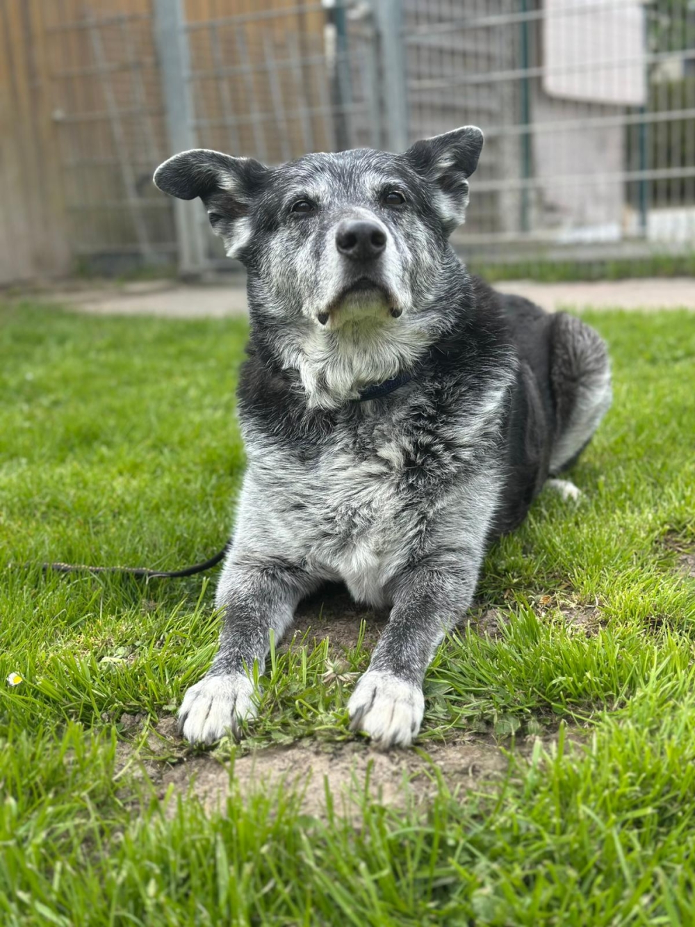 WhatsApp Image 2026-04-27 at 14.54.20.jpeg