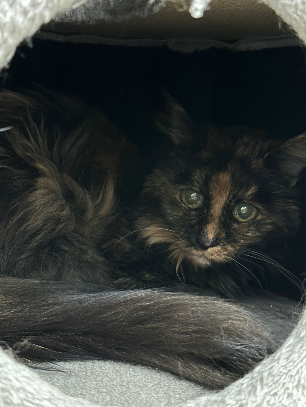 WhatsApp Image 2026-04-27 at 15.22.59.jpeg