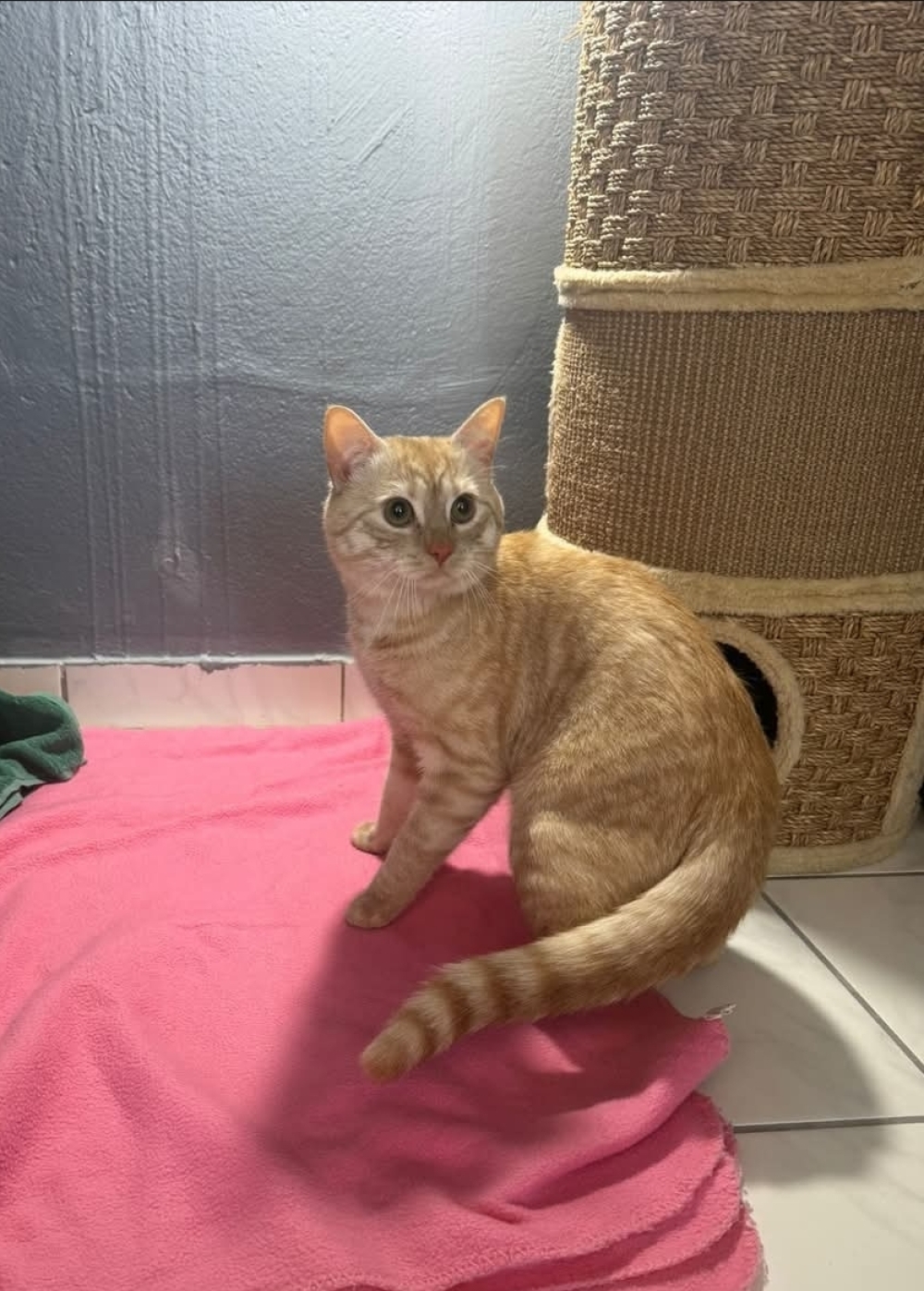Fundkater 29.4.26_1