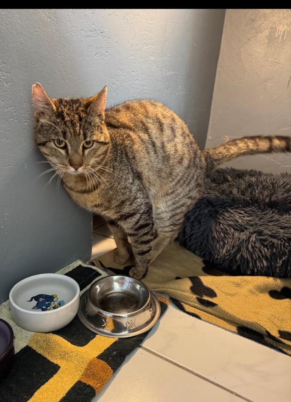 Fundkater 28.4.26